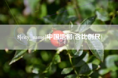 衡水中国地图(含比例尺)