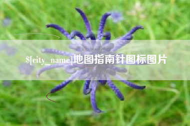 衡水地图指南针图标图片