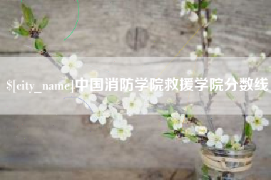 衡水中国消防学院救援学院分数线