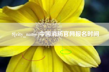 衡水中国消防官网报名时间