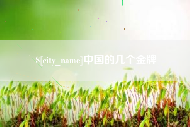 衡水中国的几个金牌