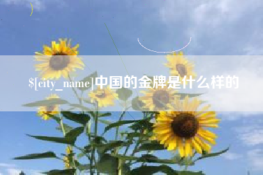 衡水中国的金牌是什么样的