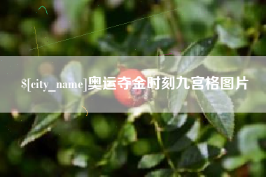 衡水奥运夺金时刻九宫格图片