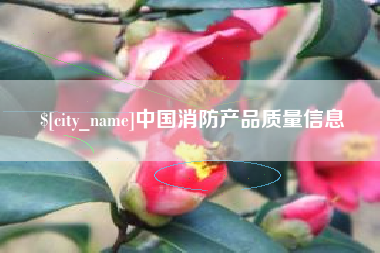 衡水中国消防产品质量信息