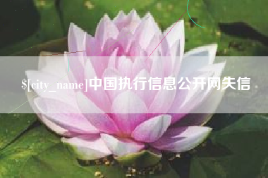 衡水中国执行信息公开网失信