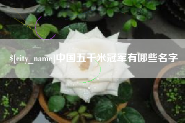 衡水中国五千米冠军有哪些名字