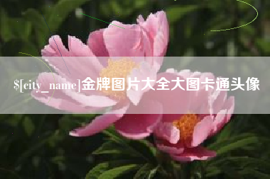 衡水金牌图片大全大图卡通头像