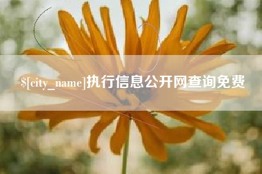衡水执行信息公开网查询免费