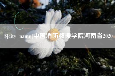 衡水中国消防救援学院河南省2020
